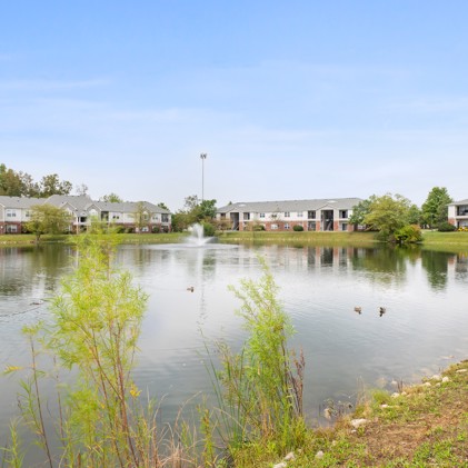 Serene pond adorned with a fountain and populated by ducks, enveloped by verdant grass, towering trees, and neighboring apartments at Mallard Crossing.